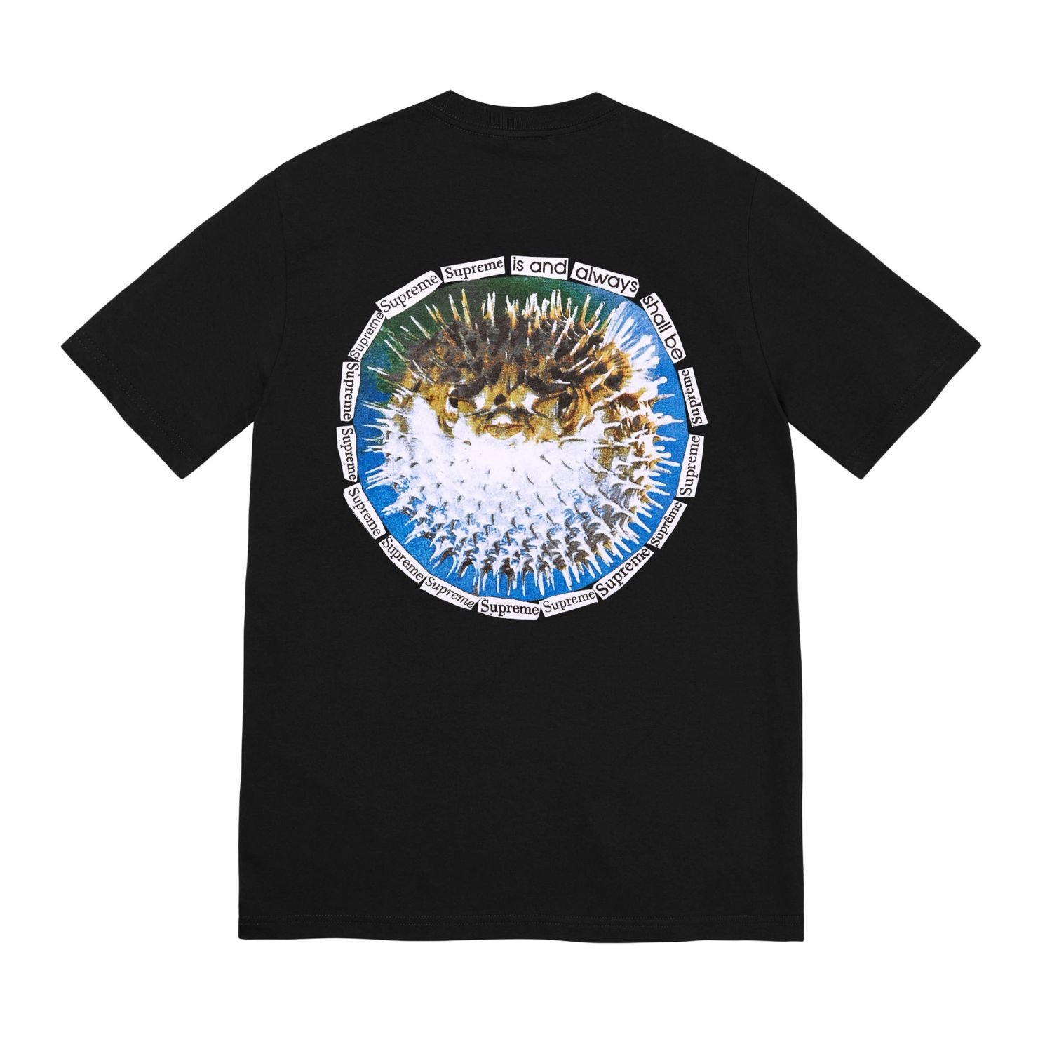 Supreme Summer Tees