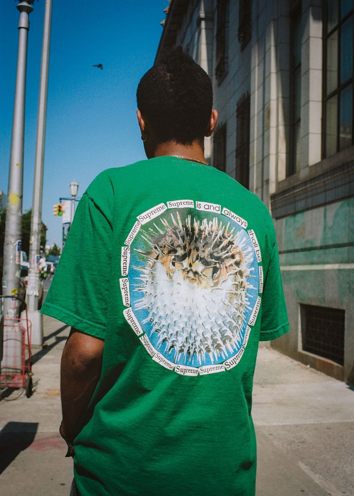 Supreme Summer Tees