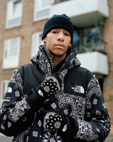 Supreme/The North Face®