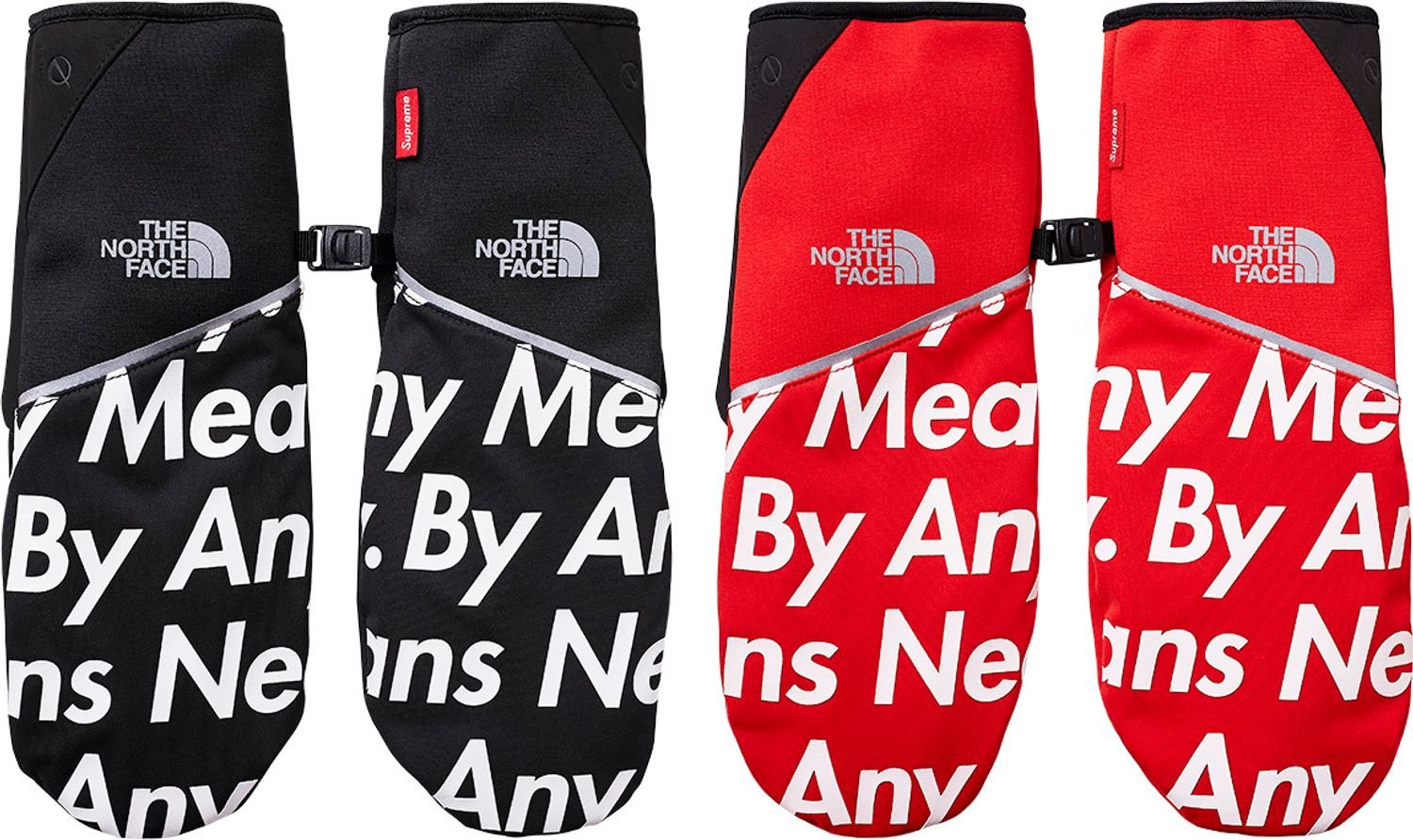 Supreme/The North Face®