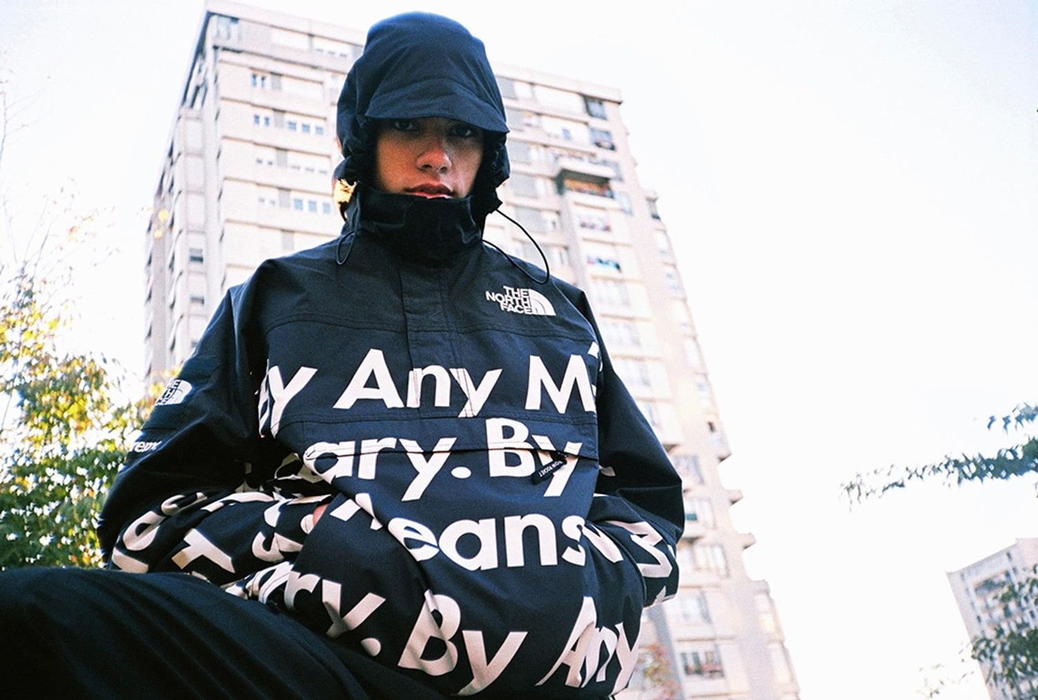 Supreme/The North Face®
