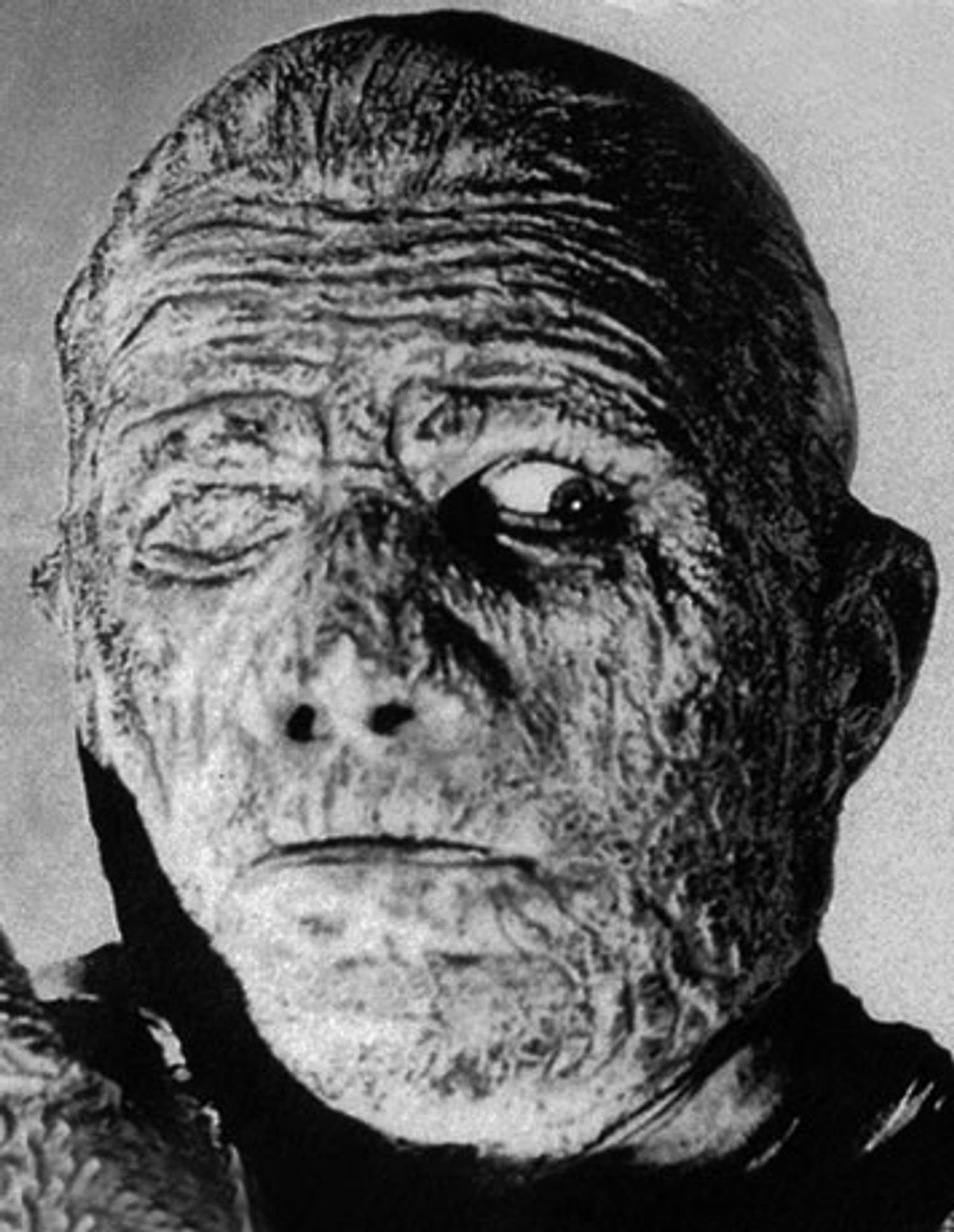Universal Monsters/Supreme