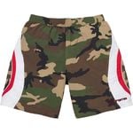 Paneled Water Short