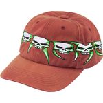 Skulls Spellout 6-Panel