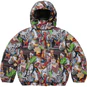 Supreme Supreme®/BLESS Tapestry Down Puffer Jacket Multicolor