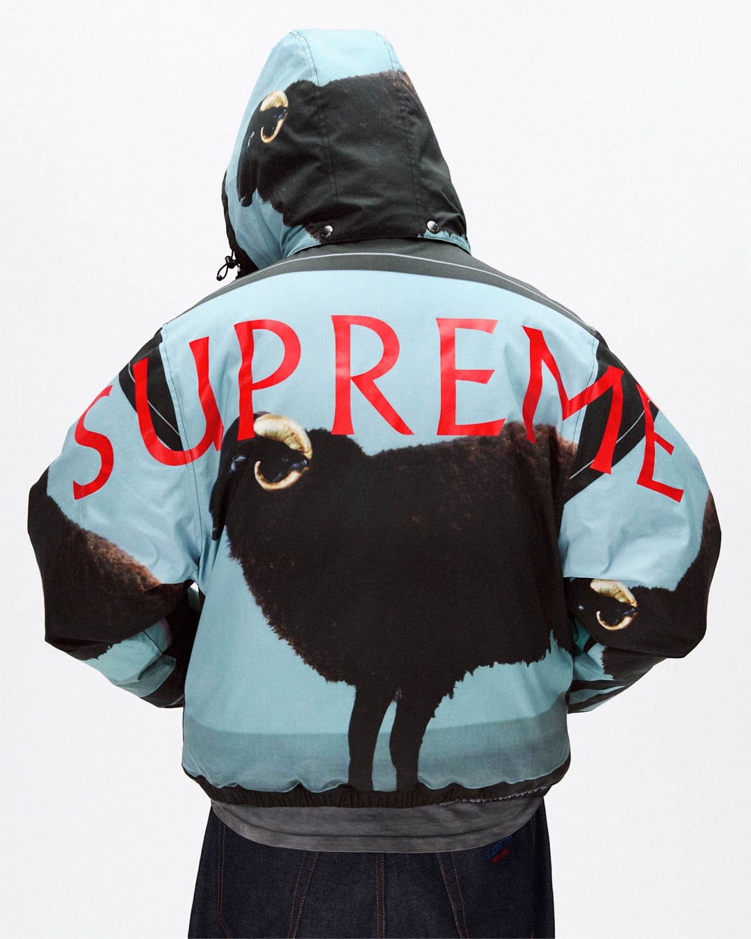 Supreme spring/summer 2025