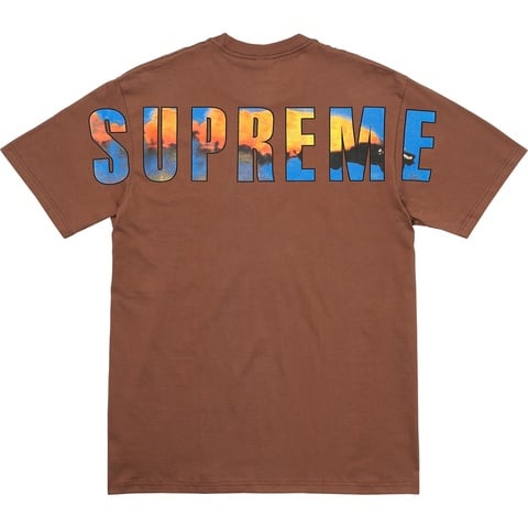 Supreme Crash Tee - Colorway