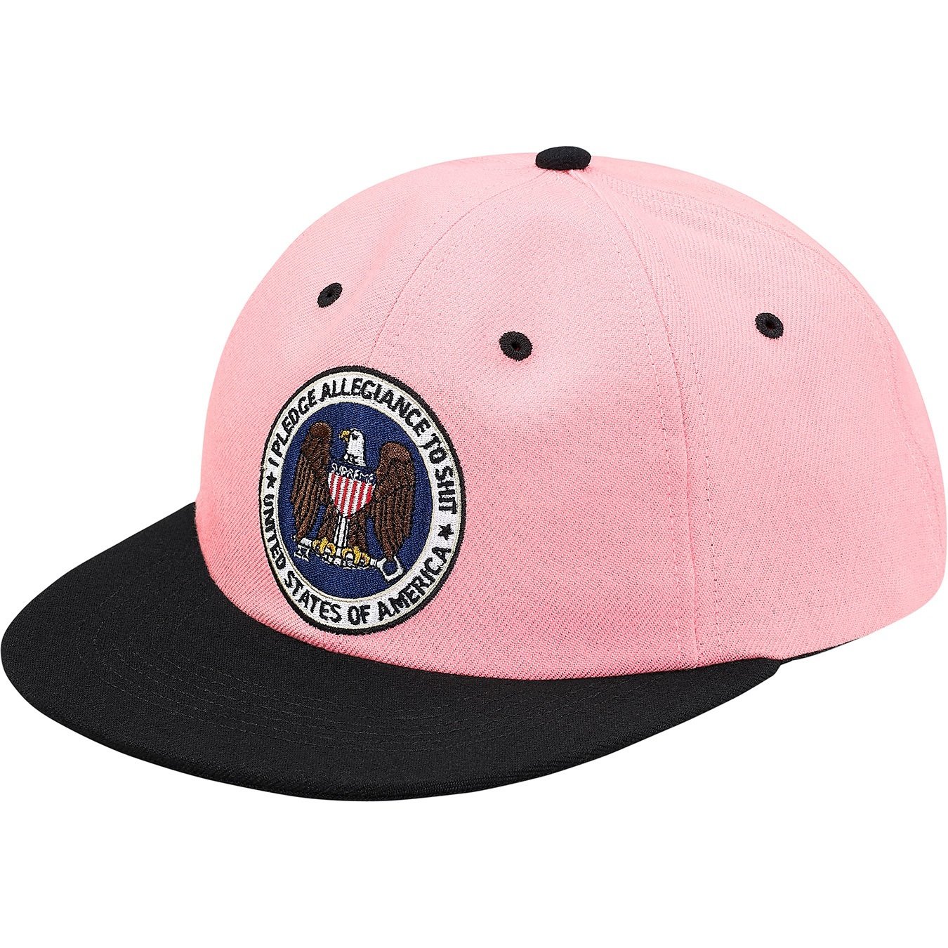 Supreme Pledge Allegiance 6-Panel (FW17)