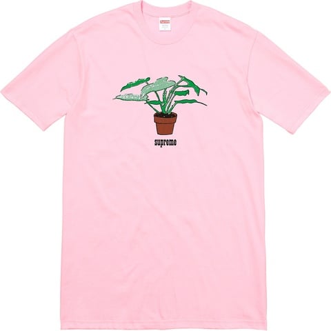 Supreme Plant Tee - Colorway