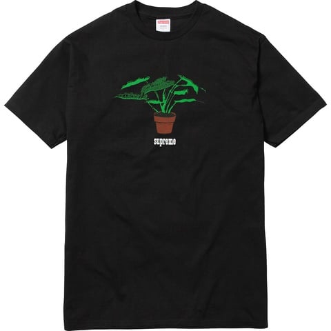 Supreme Plant Tee - Colorway
