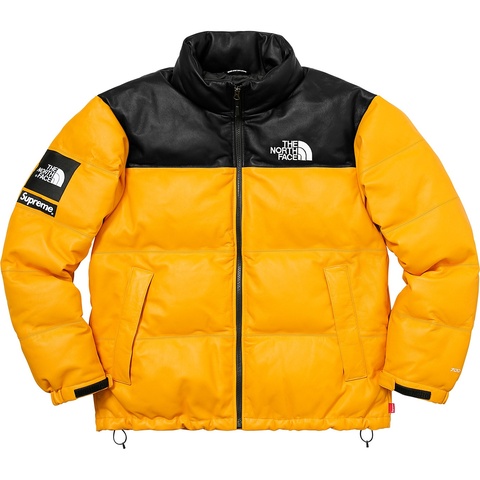 Supreme Supreme®/The North Face® Leather Nuptse Jacket - Colorway