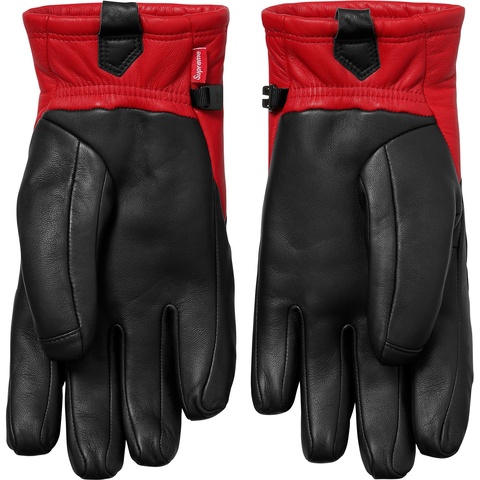 Supreme Supreme®/The North Face® Leather Gloves - Colorway