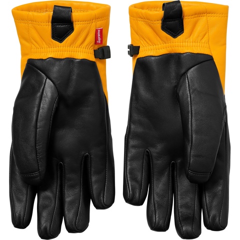 Supreme Supreme®/The North Face® Leather Gloves - Colorway