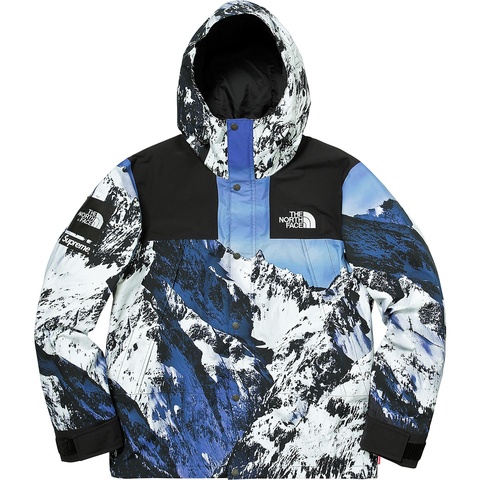 Supreme®/The North Face® Mountain Parka - Supreme