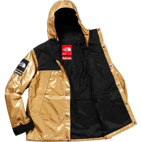 Supreme®/The North Face® Metallic Mountain Parka - Supreme