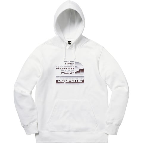 Supreme Supreme®/The North Face® Metallic Logo Hooded Sweatshirt - Colorway