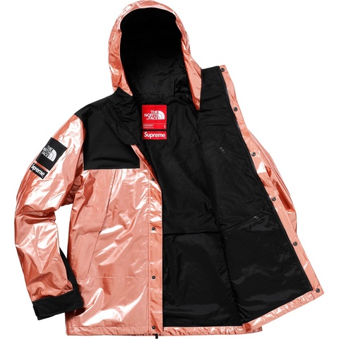Supreme®/The North Face® Metallic Mountain Parka - Supreme