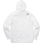 Supreme Supreme The North Face Metallic Logo Hooded Sweatshirt (SS18)