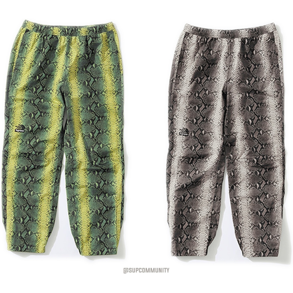 Supreme®/The North Face® Snakeskin Taped Seam Pant - Supreme
