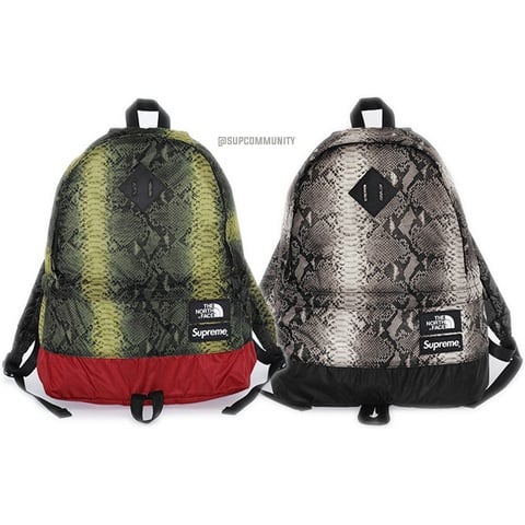 Supreme®/The North Face® Snakeskin Lightweight Day Pack - Supreme