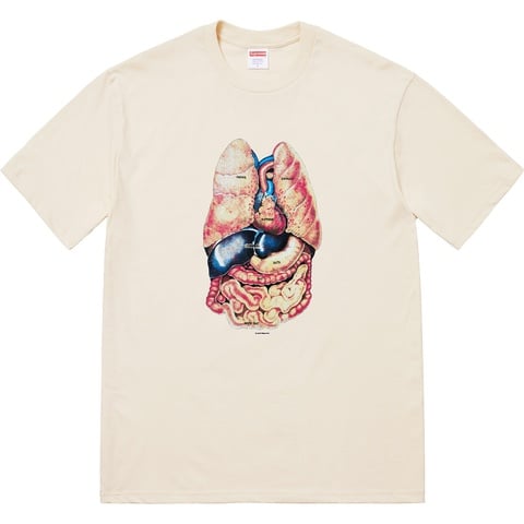 Supreme Guts Tee - Natural