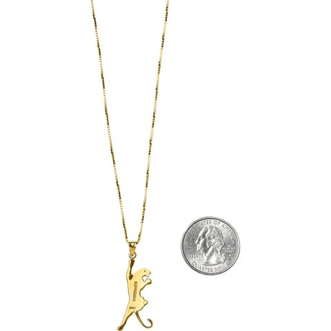 Panther Gold Pendant - fall/winter 2018 - Supreme