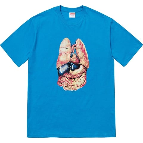 Supreme Guts Tee - Bright Blue