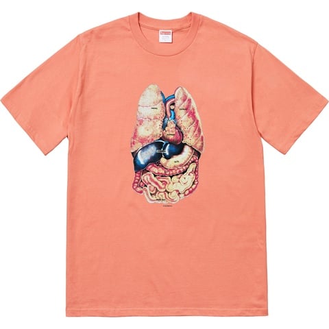 Supreme Guts Tee - Terra Cotta