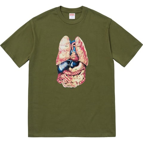 Supreme Guts Tee - Olive