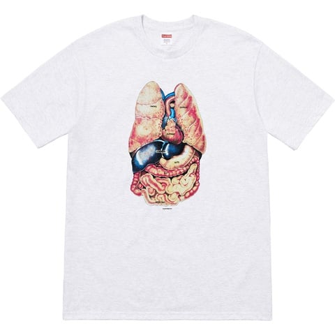 Supreme Guts Tee - Ash Grey