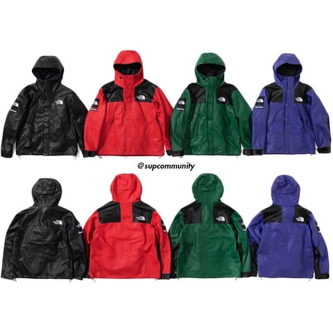 Supreme®/The North Face® Leather Mountain Parka - Supreme