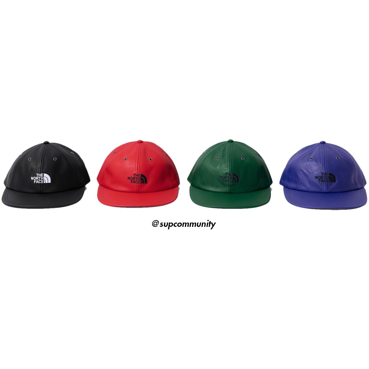 Supreme®/The North Face® Leather 6-Panel - SupremeCommunity