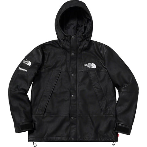 Supreme®/The North Face® Leather Mountain Parka - Supreme