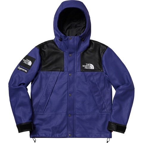 Supreme®/The North Face® Leather Mountain Parka - Supreme