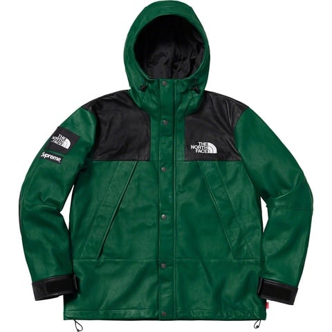 Supreme Supreme®/The North Face® Leather Mountain Parka - Dark Green