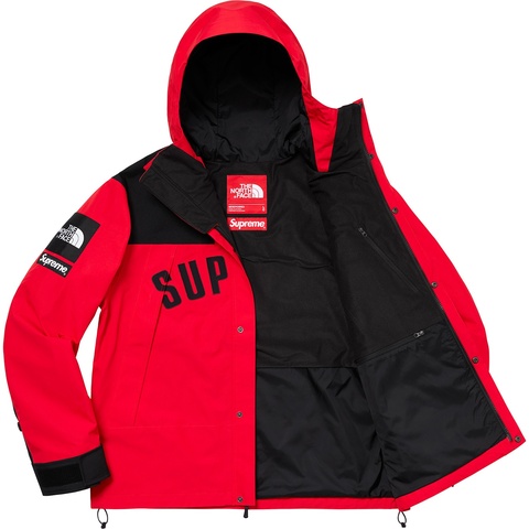 Supreme®/The North Face® Arc Logo Mountain Parka - Supreme