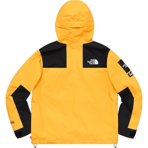 Supreme®/The North Face® Arc Logo Mountain Parka - Supreme