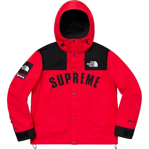 Supreme®/The North Face® Arc Logo Mountain Parka - Supreme