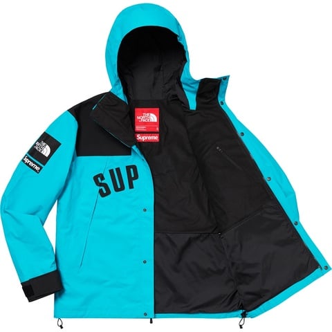 Supreme®/The North Face® Arc Logo Mountain Parka - Supreme