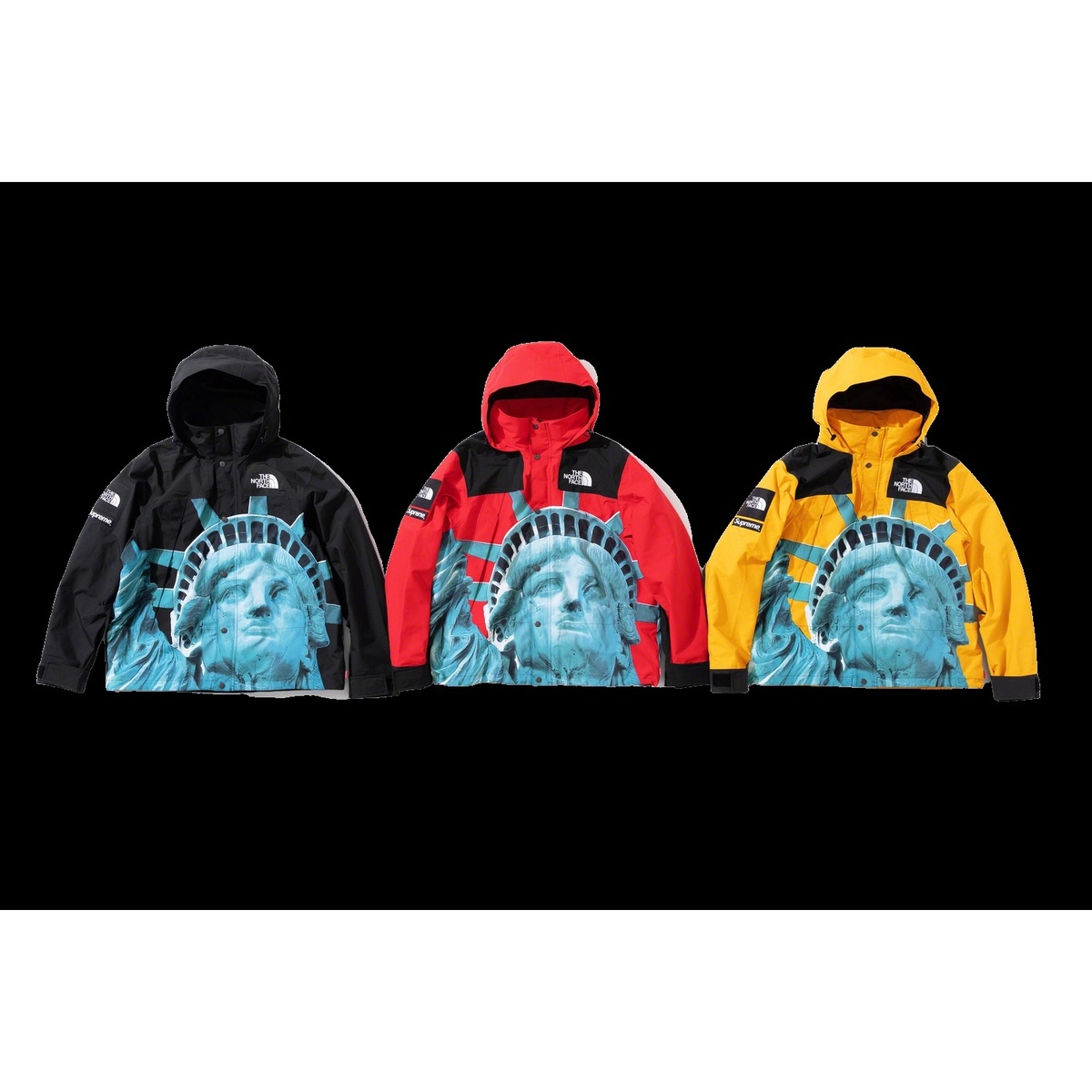 Supreme®/The North Face® Statue of Liberty Mountain Jacket