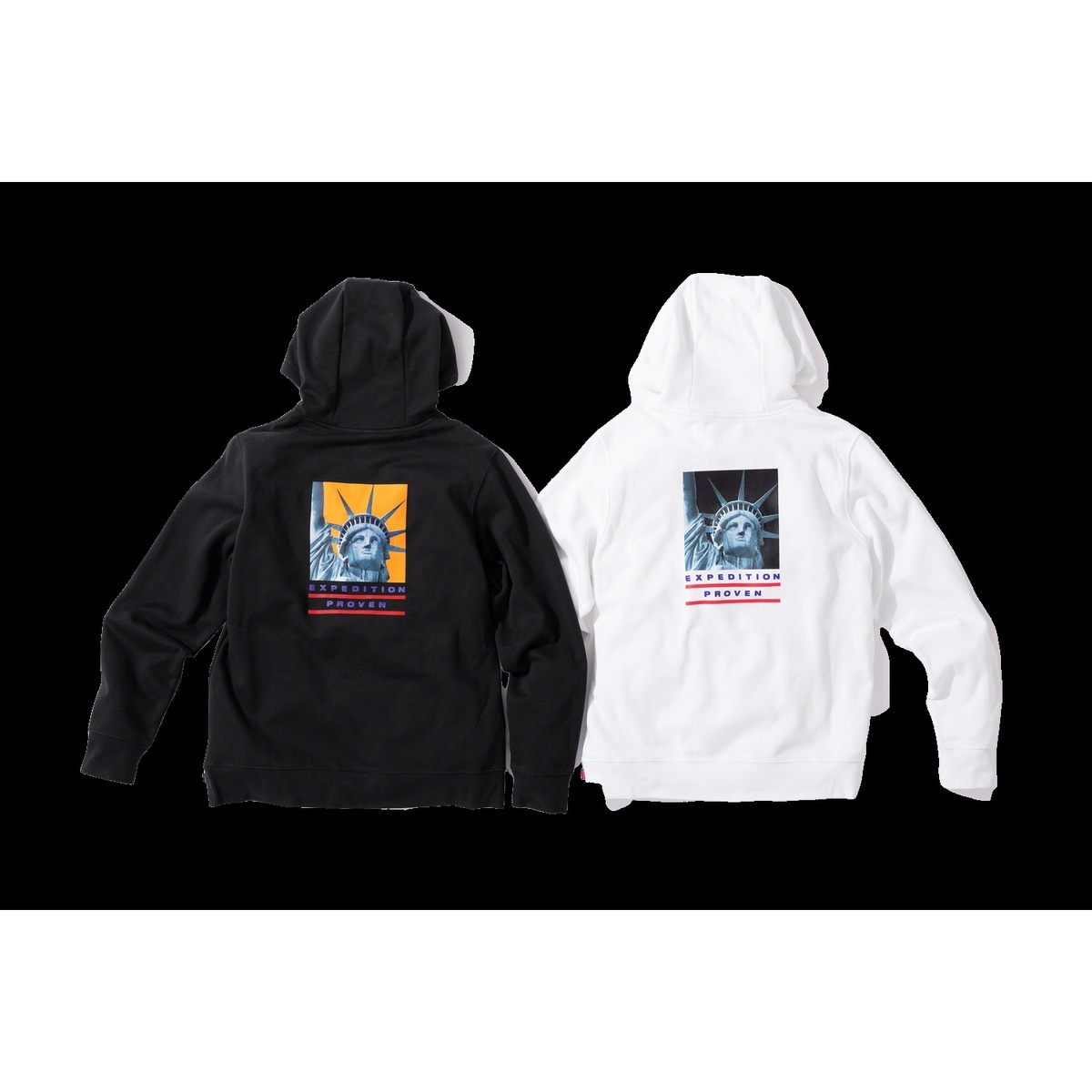 The　North Face×supremeパーカー Supreme x The North Face パーカー | ブラック | FARFETCH JP