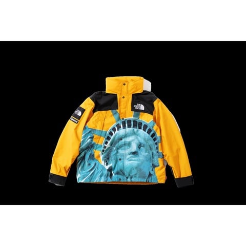 Supreme®/The North Face® Statue of Liberty Mountain Jacket