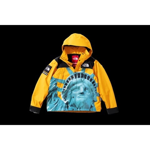 Supreme Supreme®/The North Face® Statue of Liberty Mountain Jacket - Colorway
