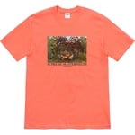 Supreme Masterpieces Tee (SS20) - Neon Orange