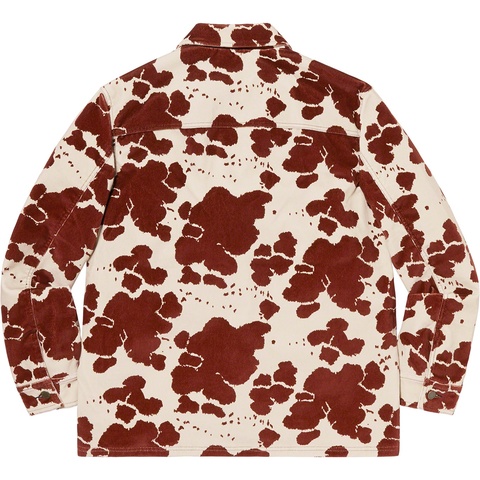 Supreme Velvet Chore Coat - Cow