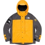 Supreme Supreme The North Face RTGJacket + Vest (SS20) - Gold