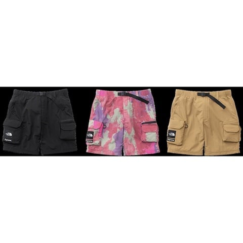 Supreme Supreme®/The North Face® Belted Cargo Pant - tnfw13cargp12