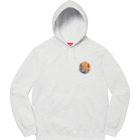 Supreme Embryo Hooded Sweatshirt - Ash Grey