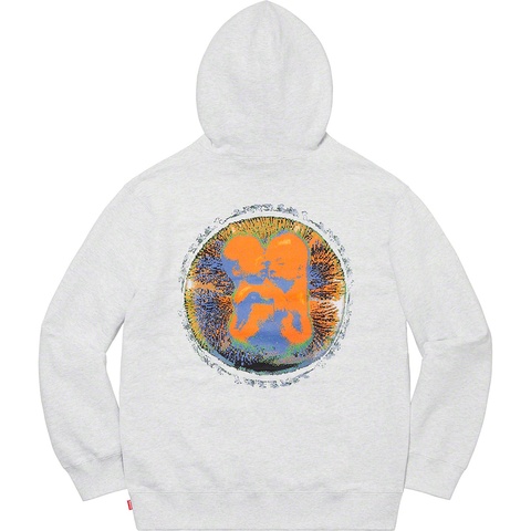 Supreme Embryo Hooded Sweatshirt - Ash Grey
