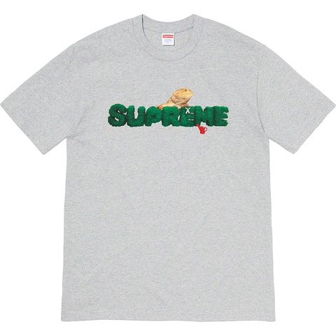 Supreme Lizard Tee - Heather Grey